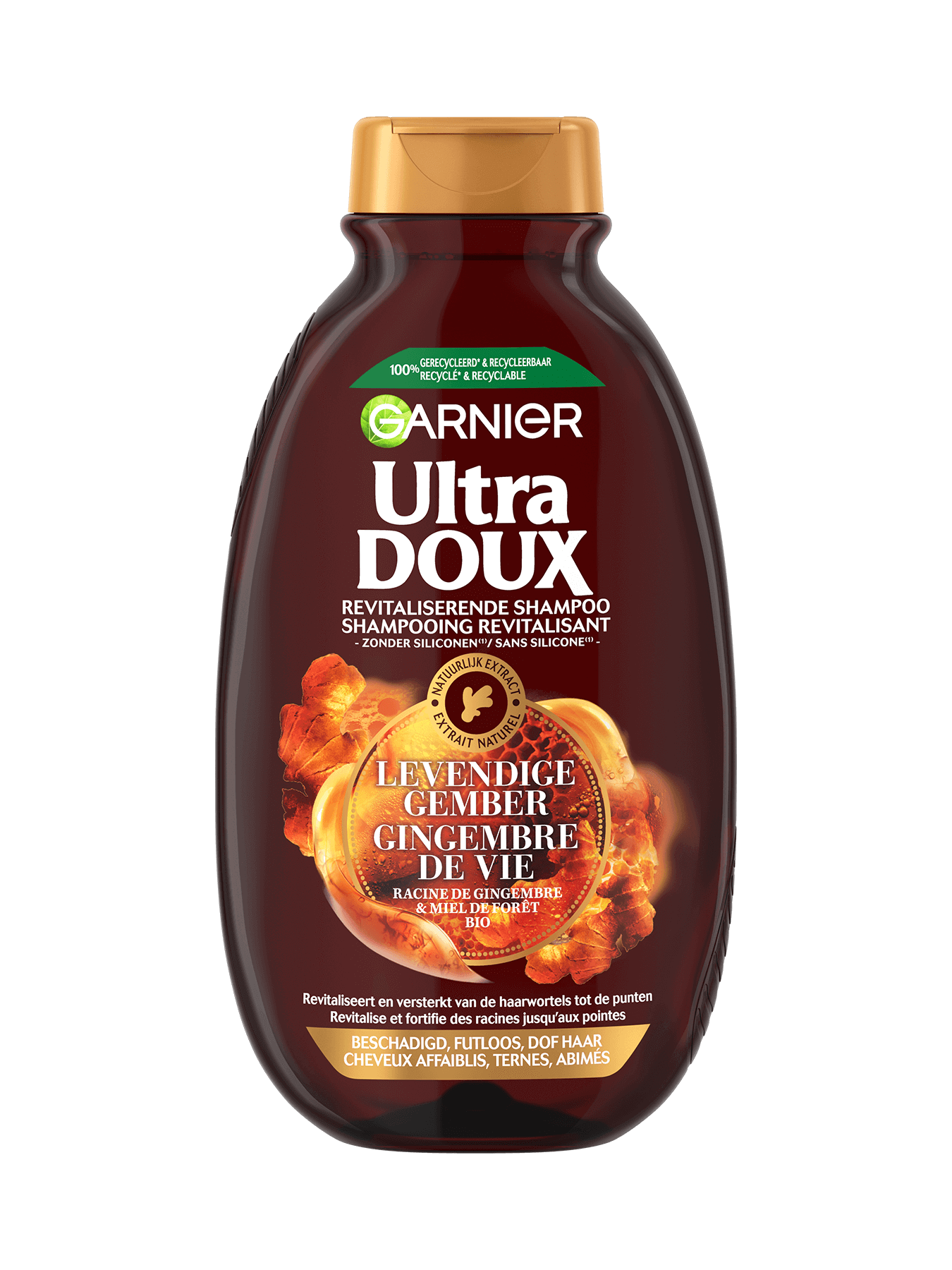 Garnier Hair Care UDX HONEY GINGER SHP B250 135 3600542463232 A1N1 FRONT P 1350x1800